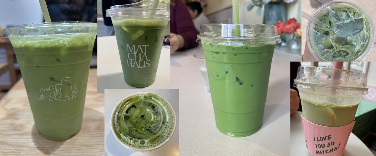 6 matcha lattes